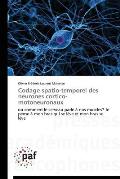 Codage Spatio-Temporel Des Neurones Cortico-Motoneuronaux