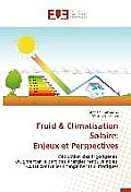 Froid Climatisation Solaire: Enjeux Et Perspectives