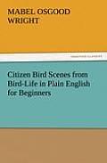 Citizen Bird Scenes from Bird-Life in Plain English for Beginners