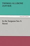 In the Sargasso Sea a Novel