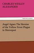 Angel Agnes the Heroine of the Yellow Fever Plague in Shreveport