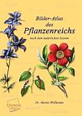 Bilder-Atlas Des Pflanzenreichs