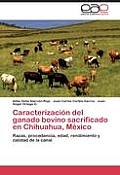 Caracterizaci?n del ganado bovino sacrificado en Chihuahua, M?xico