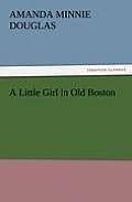A Little Girl in Old Boston