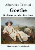 Goethe (Gro?druck): Der Roman von seiner Erweckung