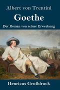 Goethe (Gro?druck): Der Roman von seiner Erweckung