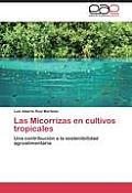 Las Micorrizas en cultivos tropicales