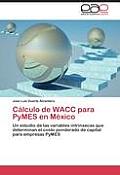 Calculo de Wacc Para Pymes En Mexico