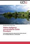 Aldea Indigena Universitaria Cano Pendare