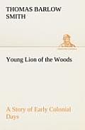 Young Lion of the Woods a Story of Early Colonial Days