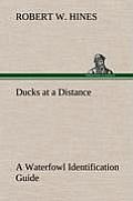 Ducks at a Distance A Waterfowl Identification Guide