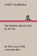 The Meadow-Brook Girls by the Sea Or The Loss of The Lonesome Bar