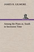 Among the Pines Or, South in Secession Time