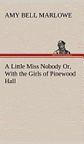 A Little Miss Nobody Or, with the Girls of Pinewood Hall