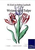 Weizen und Tulpe