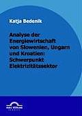 Analyse der Energiewirtschaft von Slowenien, Ungarn und Kroatien: Schwerpunkt Elektrizit?tssektor
