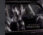 Silence of Dogs in Cars