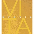 Vita Brevis 1998 2003 History Landscape & Art