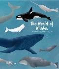 World of Whales Get to Know the Giantsiof the Ocean
