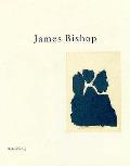 James Bishop: Paintings and Works on Paper