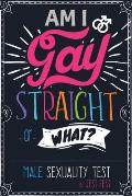 Am I Gay, Straight or What? Male Sexuality Test: Prank Adult Puzzle Book for Men