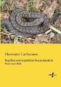 Reptilien und Amphibien Deutschlands in Wort und Bild