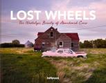 Lost Wheels The Nostalgic Beauty of Abandoned Cars