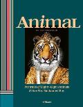 Animal Portraits of Eighty Eight Animals & One Shy Enchanted Boy