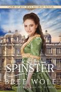 The Spinster: Prequel to the Forbidden Love Novella Series