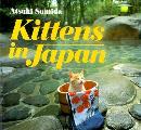 Kittens In Japan