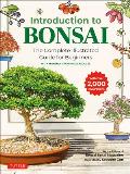 Introduction to Bonsai The Complete Illustrated Guide for Beginners
