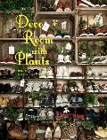 Deco Room with Plants