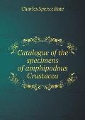 Catalogue of the Specimens of Amphipodous Crustacea