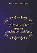 Synonymy of the Species of Strepomatidae