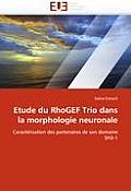 Etude Du Rhogef Trio Dans La Morphologie Neuronale