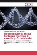 Heteroplasmia en las tortugas marinas C. caretta y E. imbricata