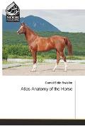 Atlas Anatomy of the Horse