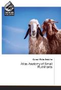 Atlas Anatomy of Small Ruminants