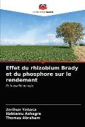 Effet du rhizobium Brady et du phosphore sur le rendement