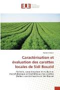 Caract?risation et ?valuation des carottes locales de Sidi Bouzid