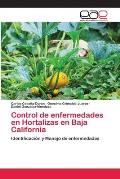 Control de enfermedades en Hortalizas en Baja California
