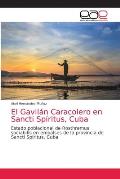 El Gavil?n Caracolero en Sancti Sp?ritus, Cuba