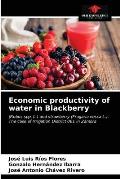 Economic productivity of water in Blackberry