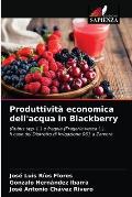 Produttivit? economica dell'acqua in Blackberry