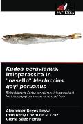 Kudoa peruvianus, ittioparassita in nasello Merluccius gayi peruanus