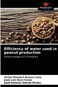 Efficiency of water used in peanut production