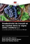 Productivit? du travail et du capital dans la vigne (Vitis vinifera L.)