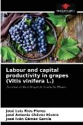 Labour and capital productivity in grapes (Vitis vinifera L.)