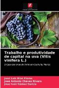 Trabalho e produtividade de capital na uva (Vitis vinifera L.)
