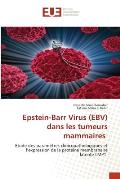 Epstein-Barr Virus (EBV) dans les tumeurs mammaires